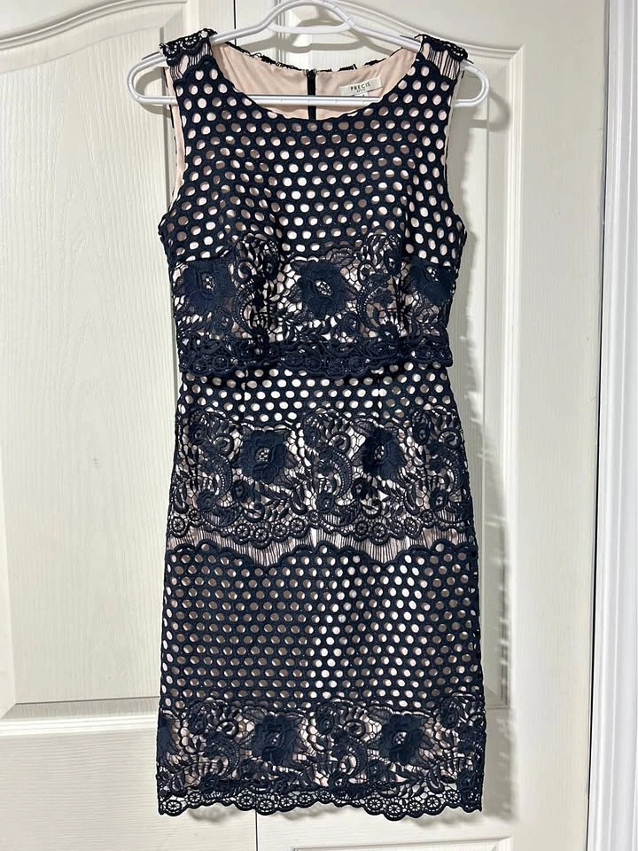 Precis Petite Pink/Navy Lace Dress