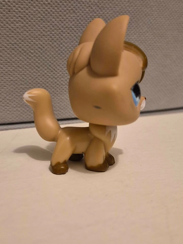 Misc Littlest Pet Shop Figures - Koala, Owl, Cat, Monkey, Snail - photo 5