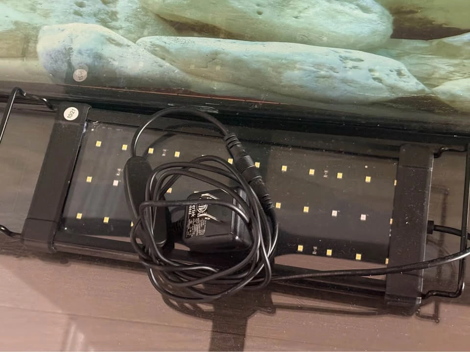 30 gallons aquarium and accessories - photo 2