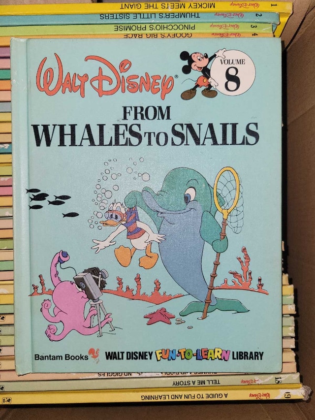 Walt Disney Fun-To-Read Library Books - photo 4