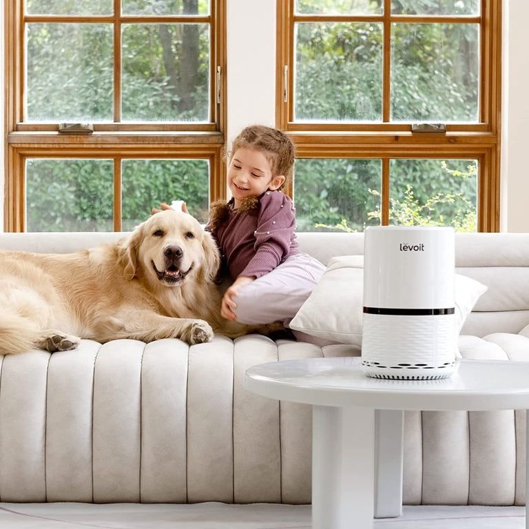 Levoit LV-H132-XR 3-Stage Filtration Personal Air Purifier - photo 4