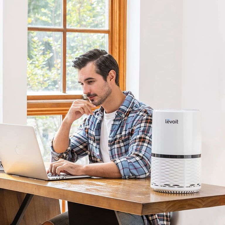 Levoit LV-H132-XR 3-Stage Filtration Personal Air Purifier - photo 5