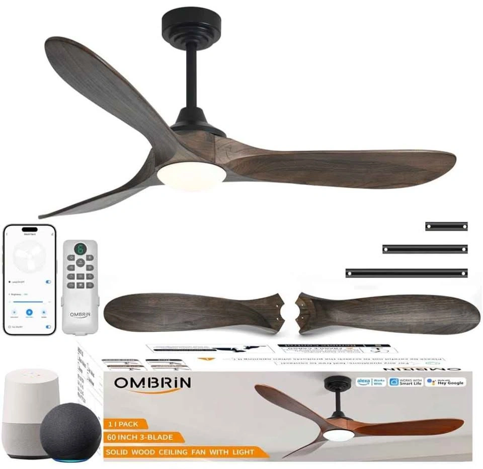 60 inch Outdoor Ceiling Fan with Lights & Smart Control - photo 4