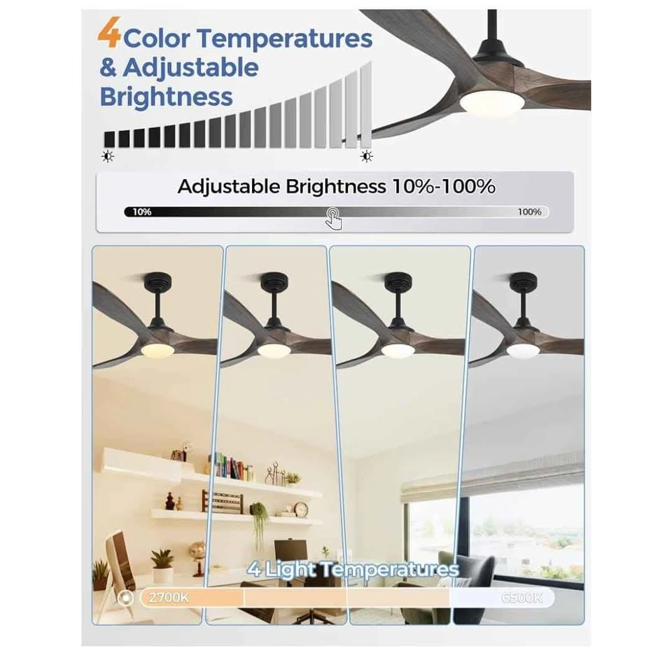 60 inch Outdoor Ceiling Fan with Lights & Smart Control - photo 5