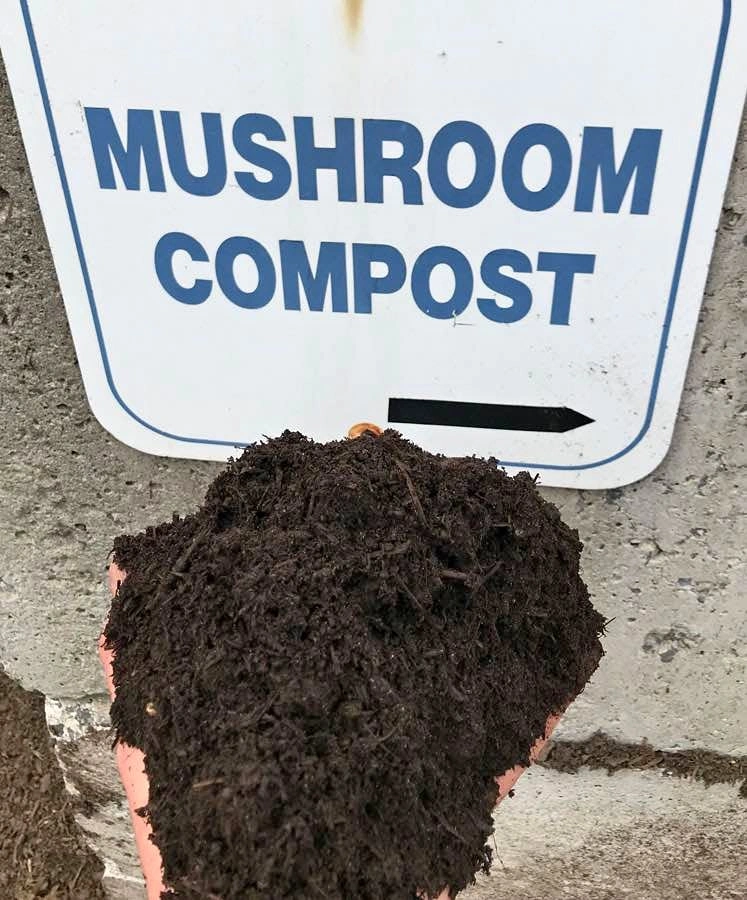 Mushroom Compost