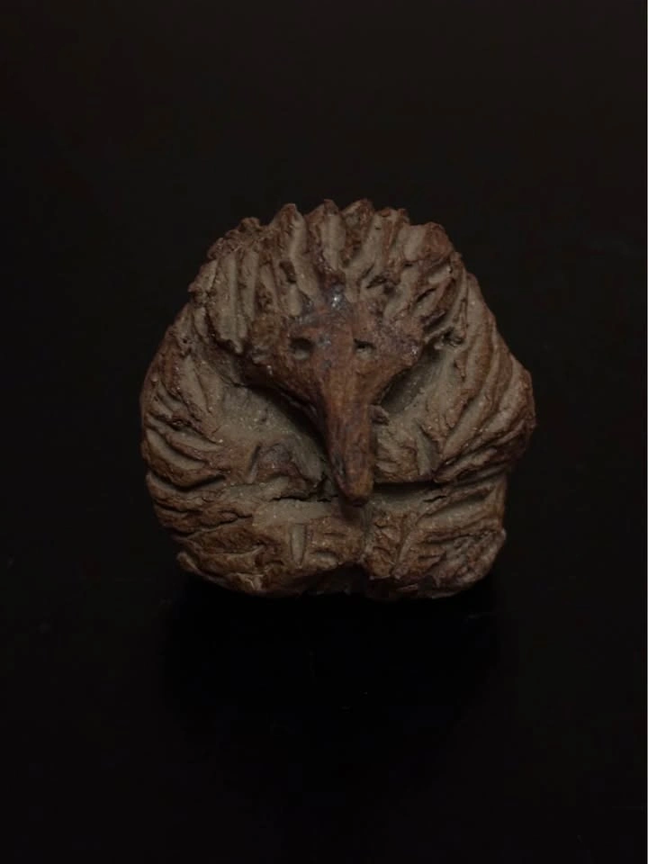 Handmade Clay Echidna Figurine - photo 2