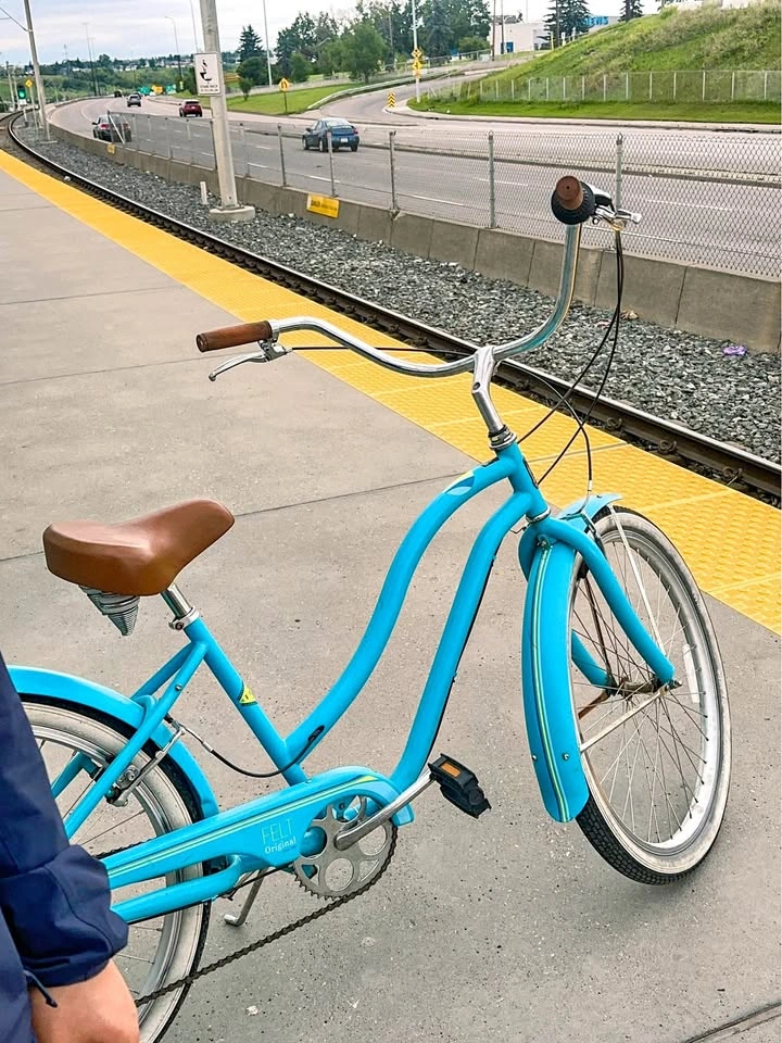 Felt 7-Speed Cruiser Bike – Medium + Accessories