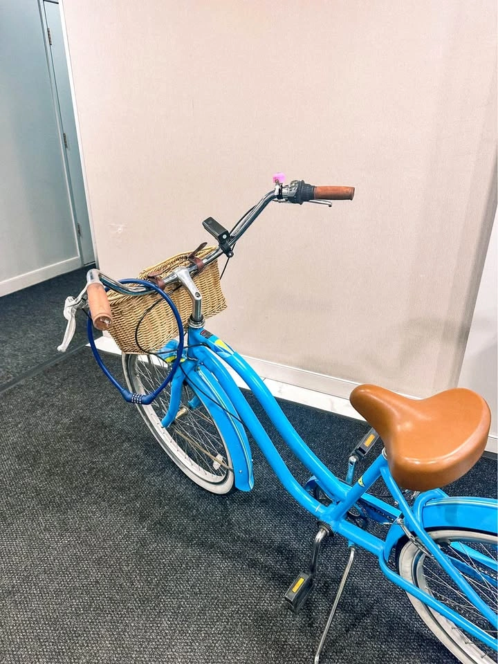 Felt 7-Speed Cruiser Bike – Medium + Accessories - photo 2