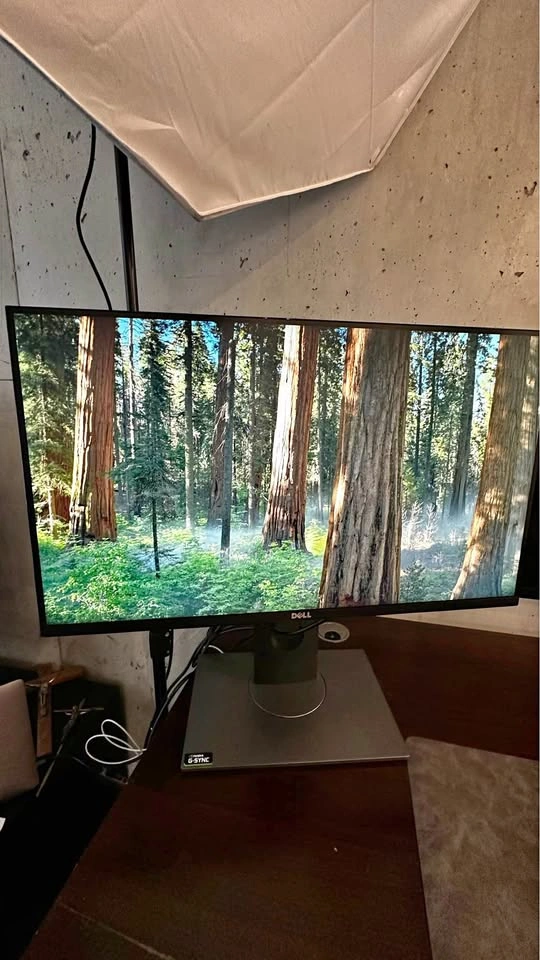 Dell Monitor 27 Inch