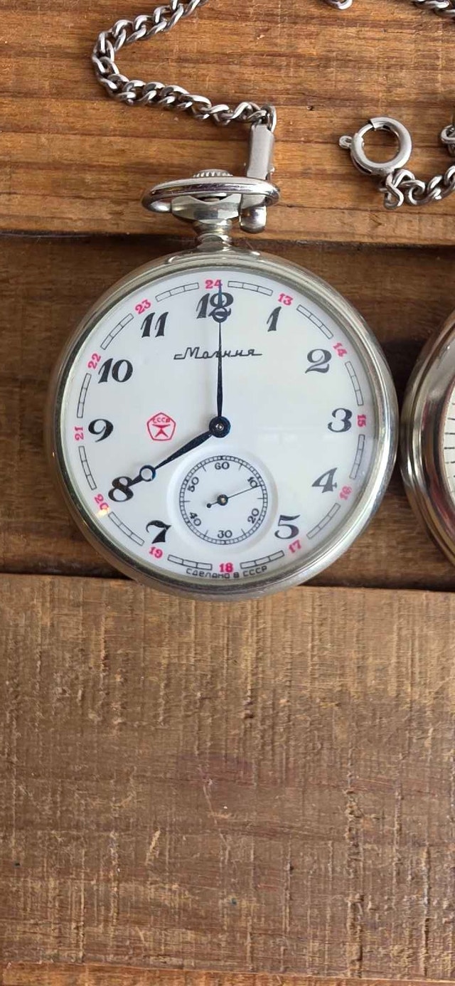 Pocket Watch - photo 4