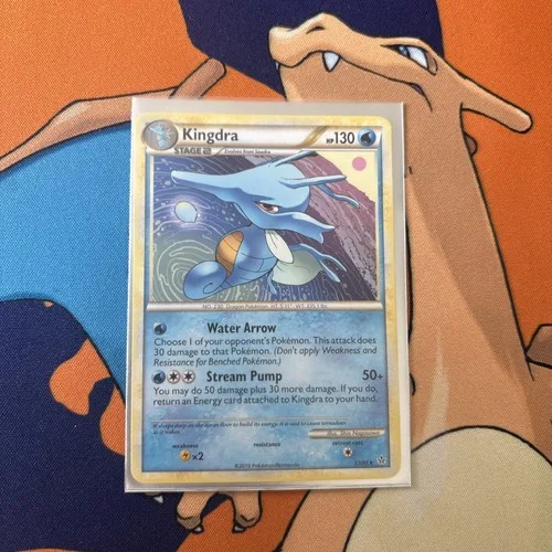 2010 Kingdra 17/95 Unleashed Regular NM - photo 3