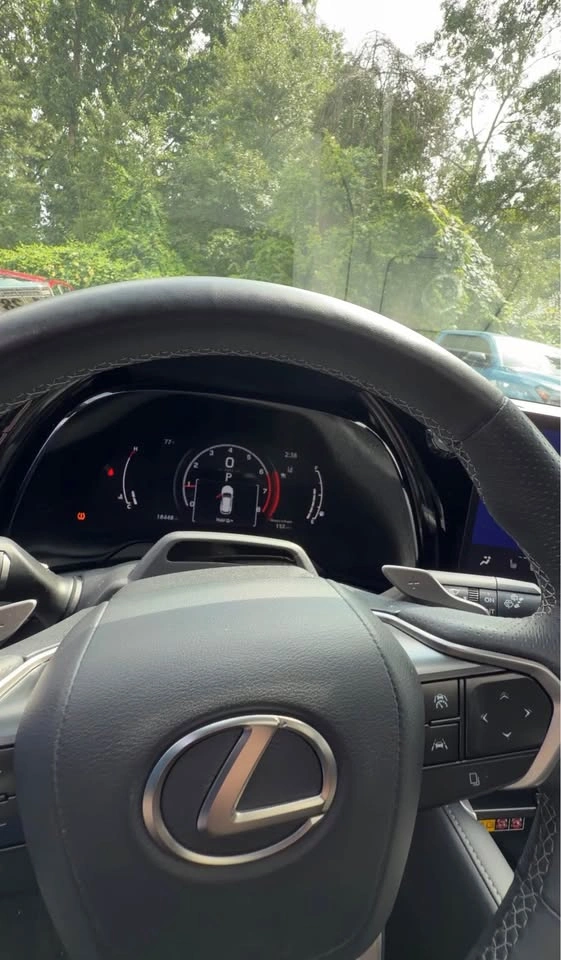 2024 Lexus RX 350 F SPORT Handling - photo 3