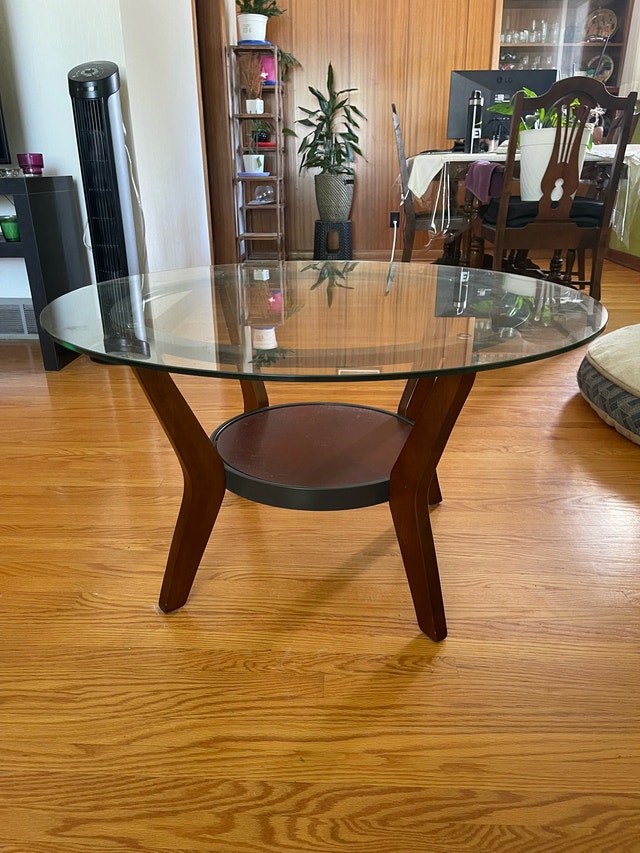 Glass Top Coffee Table and End Table Set