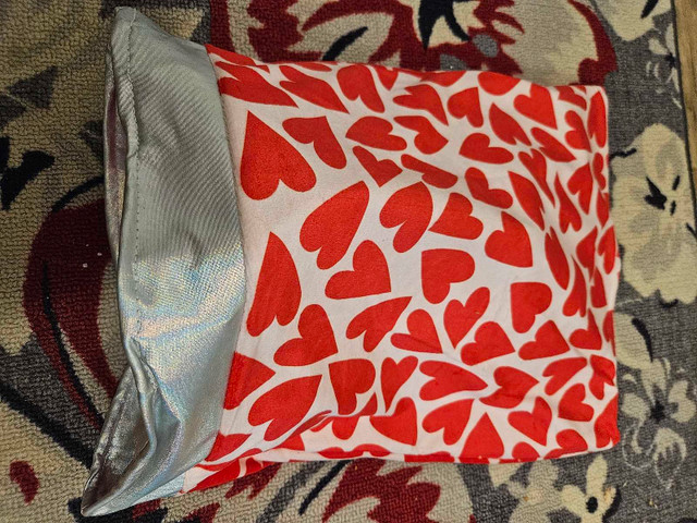 Cat Crinkly Bag