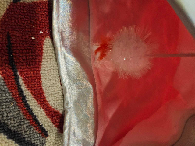 Cat Crinkly Bag - photo 5