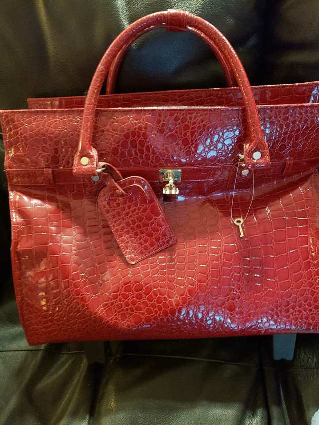 Rolling Briefcase or Travel Bag