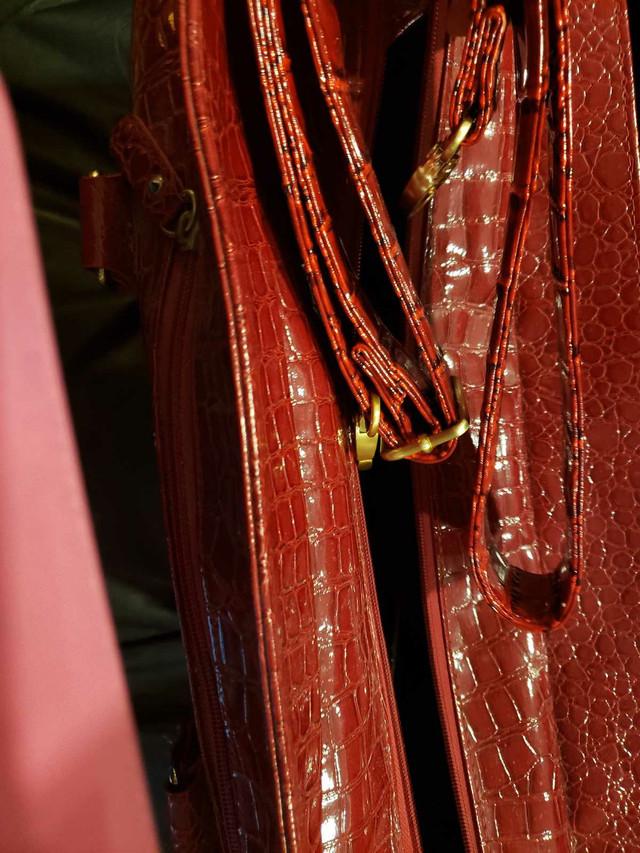 Rolling Briefcase or Travel Bag - photo 4