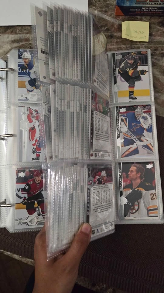 387 NHL Trading Cards Upper Deck 2019-20, 2020-21 Series 1 - photo 3