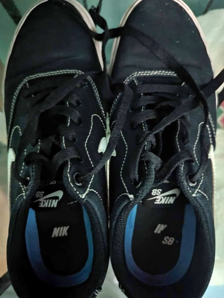 Nike SB Skate Shoes
