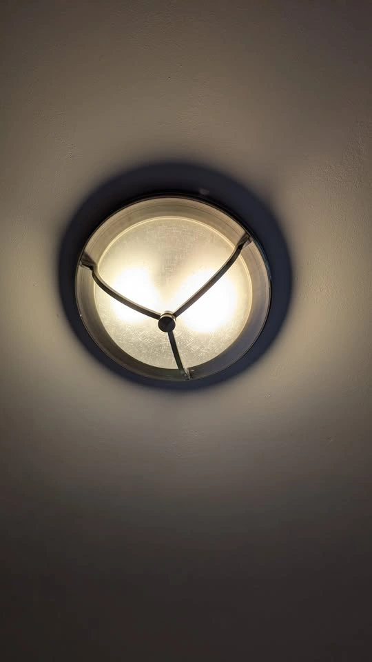 Flush Mount Ceiling Light - photo 3