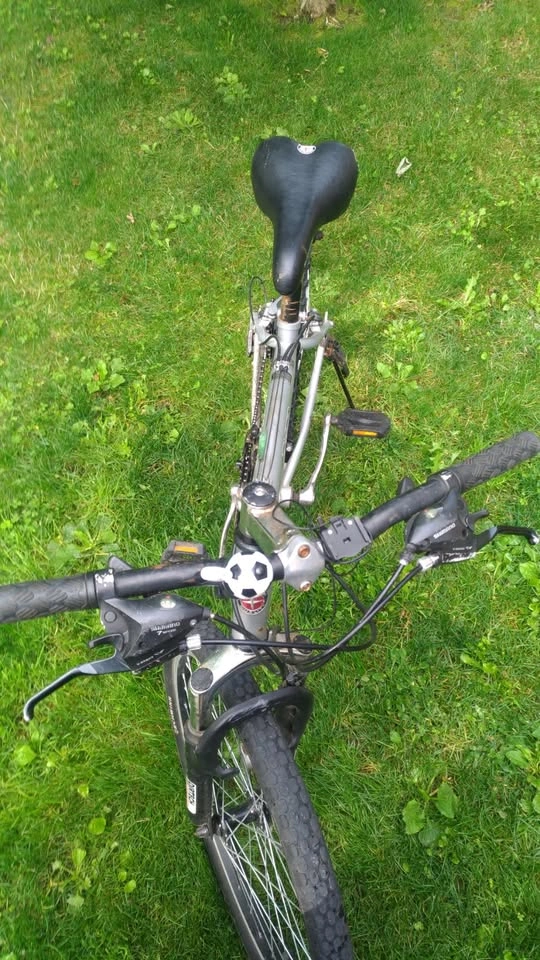 Boy's bike Kicker Pro Schwinn (24'') - photo 5