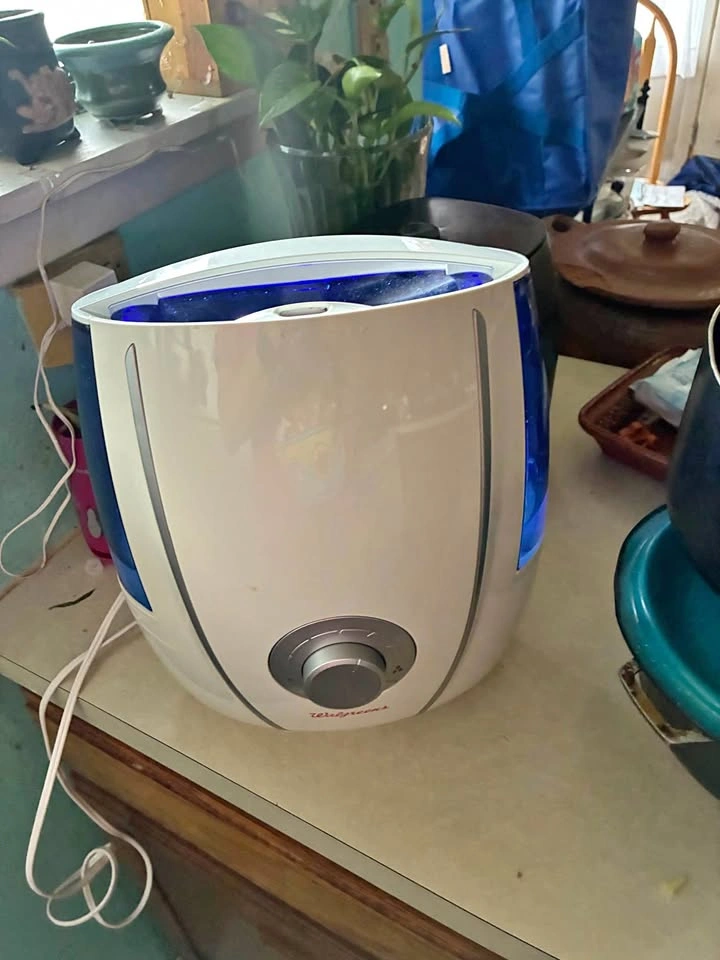 Warm and cool mist humidifier