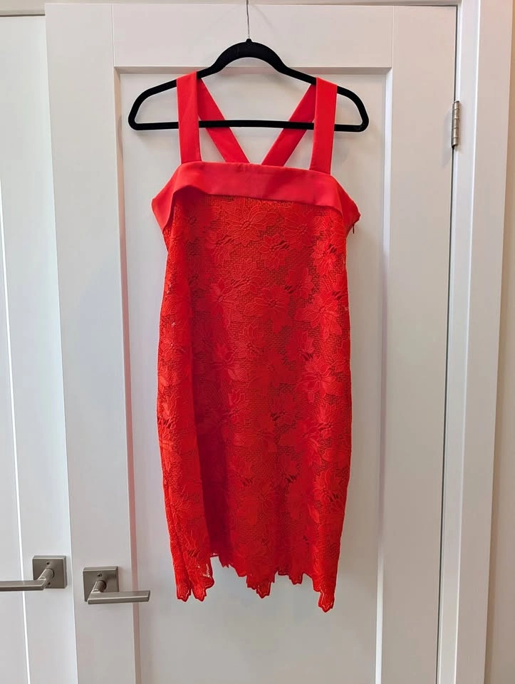 NWT Banana Republic Limited Edition Bow Back Lace Dress Size 6