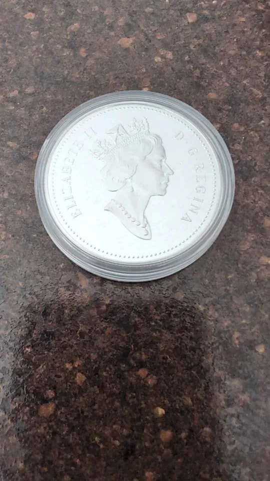 1993 Silver Dollar of the 100th anniversary of the Stanley Cup image indicator(4)