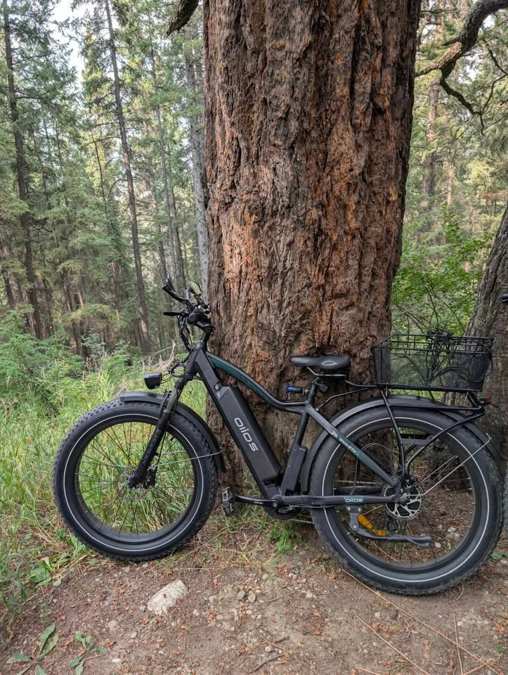 Olios Quanta fat tire e-bike - upgraded tektro hydraulic brakes - photo 4