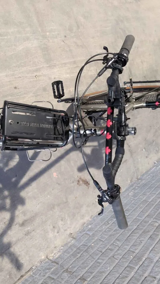 Surly Ogre Champagne Supernova Medium Custom Build image indicator(5)