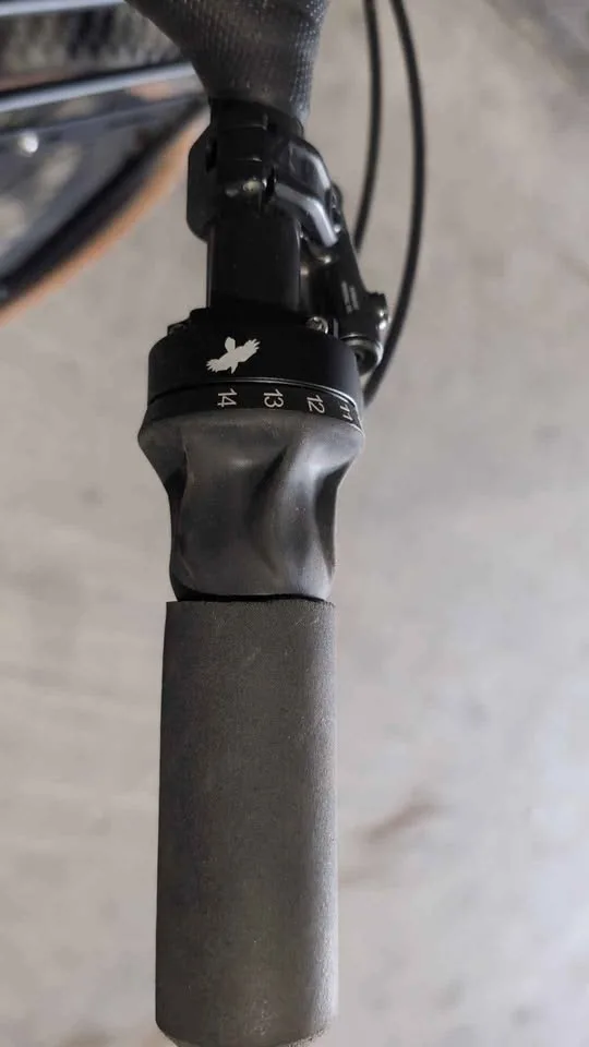 Surly Ogre Champagne Supernova Medium Custom Build image indicator(6)