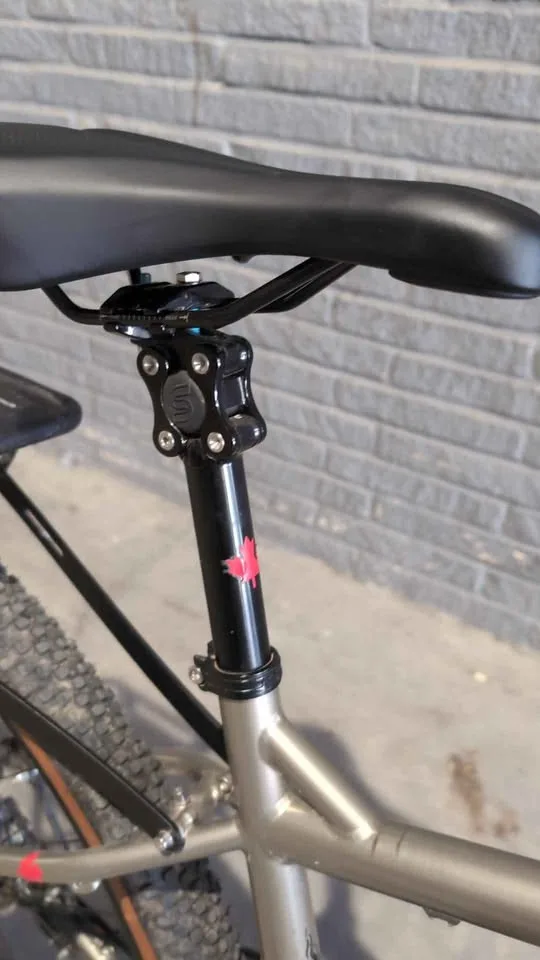 Surly Ogre Champagne Supernova Medium Custom Build image indicator(7)