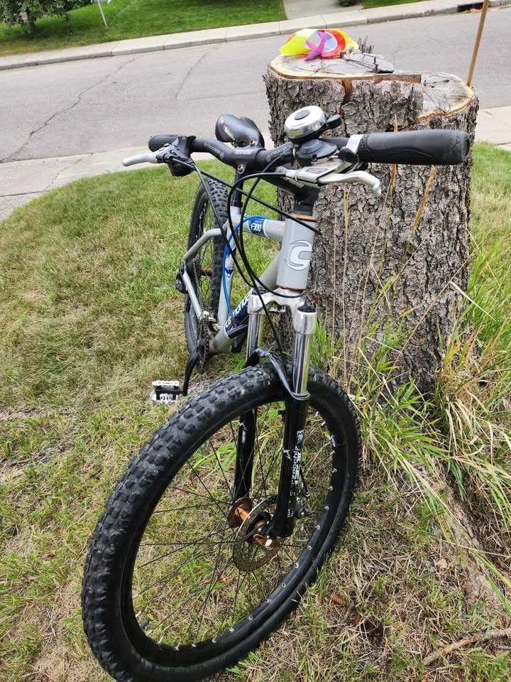 Vintage Cannondale F300 Mountain Bike – Medium Frame - photo 3