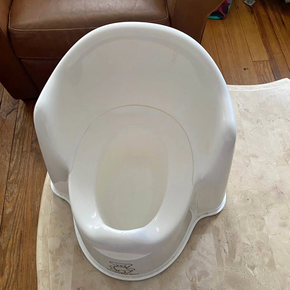 BabyBjorn Potty Training