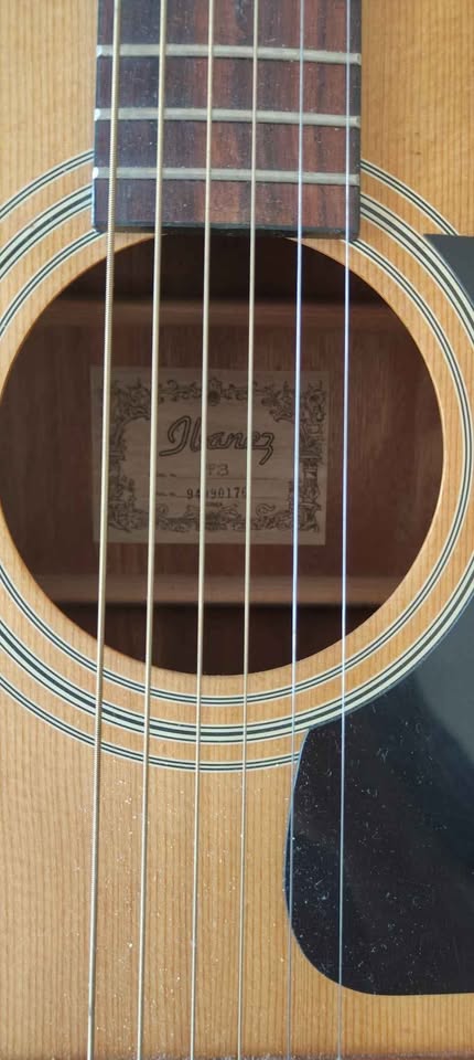 Acoustic Guitar- strings - music stand - photo 3
