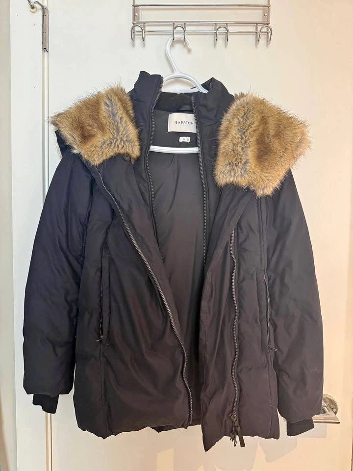 Aritzia Babaton parka jacket