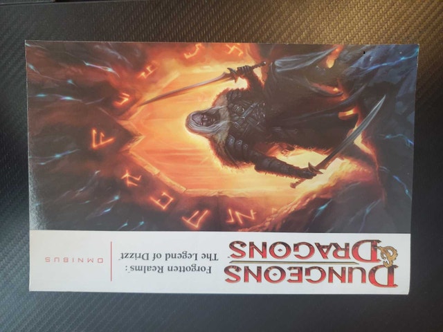 Dungeons and Dragon's Graphic Novels