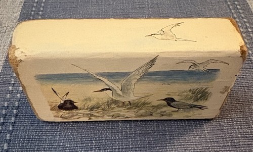 Vintage Wooden Bird Art Block Terns Seabirds Coastal Wildlife