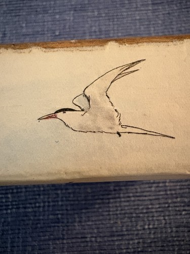 Vintage Wooden Bird Art Block Terns Seabirds Coastal Wildlife - photo 2