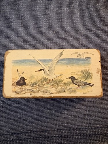 Vintage Wooden Bird Art Block Terns Seabirds Coastal Wildlife - photo 3