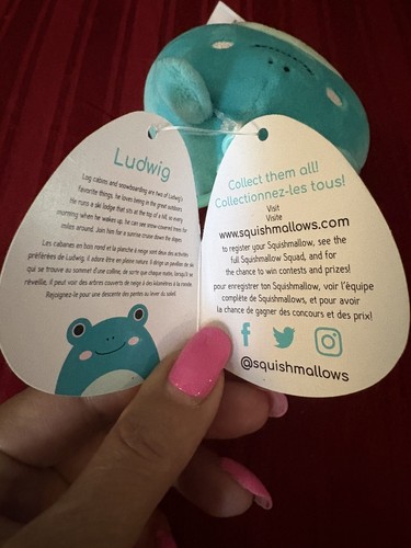 Squishmallows Ludwig Frog 3.5” Clip On Teal Kellytoy 2021 - photo 2