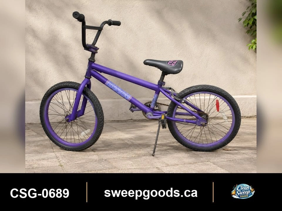 Purple 20-Inch BMX-Style Kids’ Bike