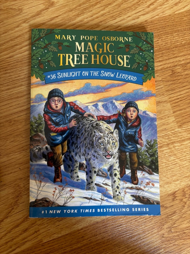 Magic Tree house - Book 34 and 36