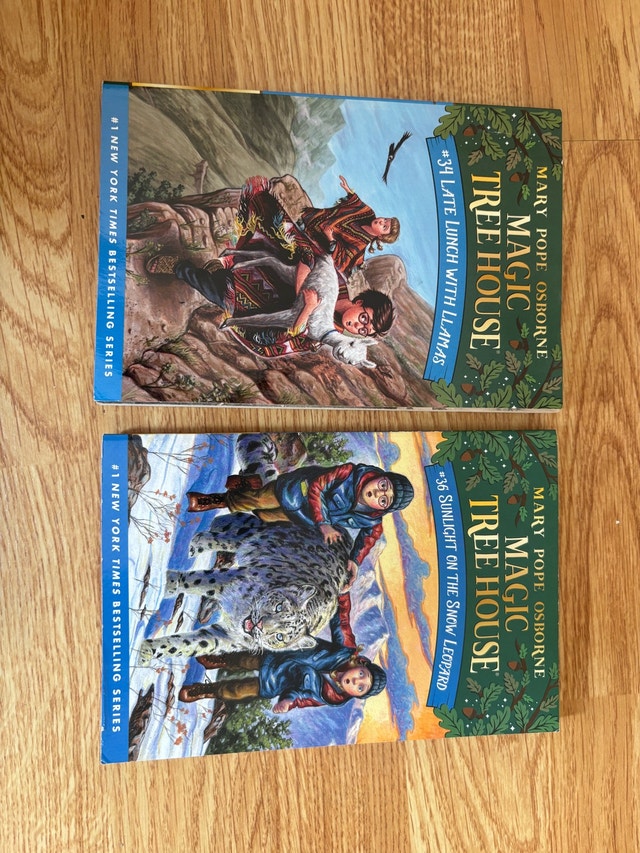 Magic Tree house - Book 34 and 36 - photo 3