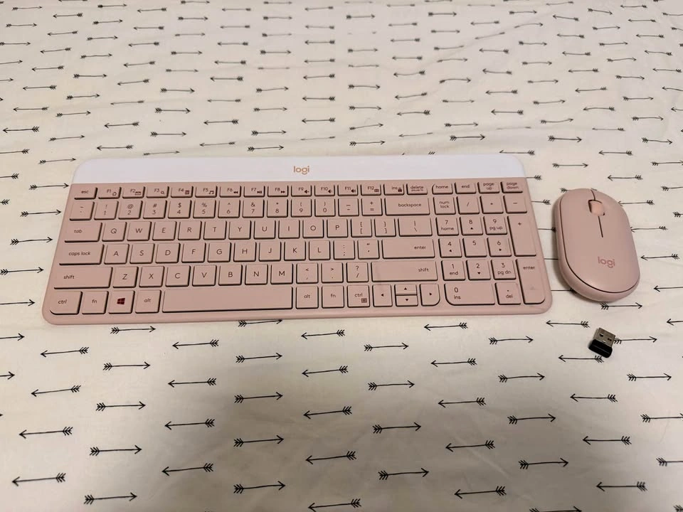 Logitech mouse and keyboard