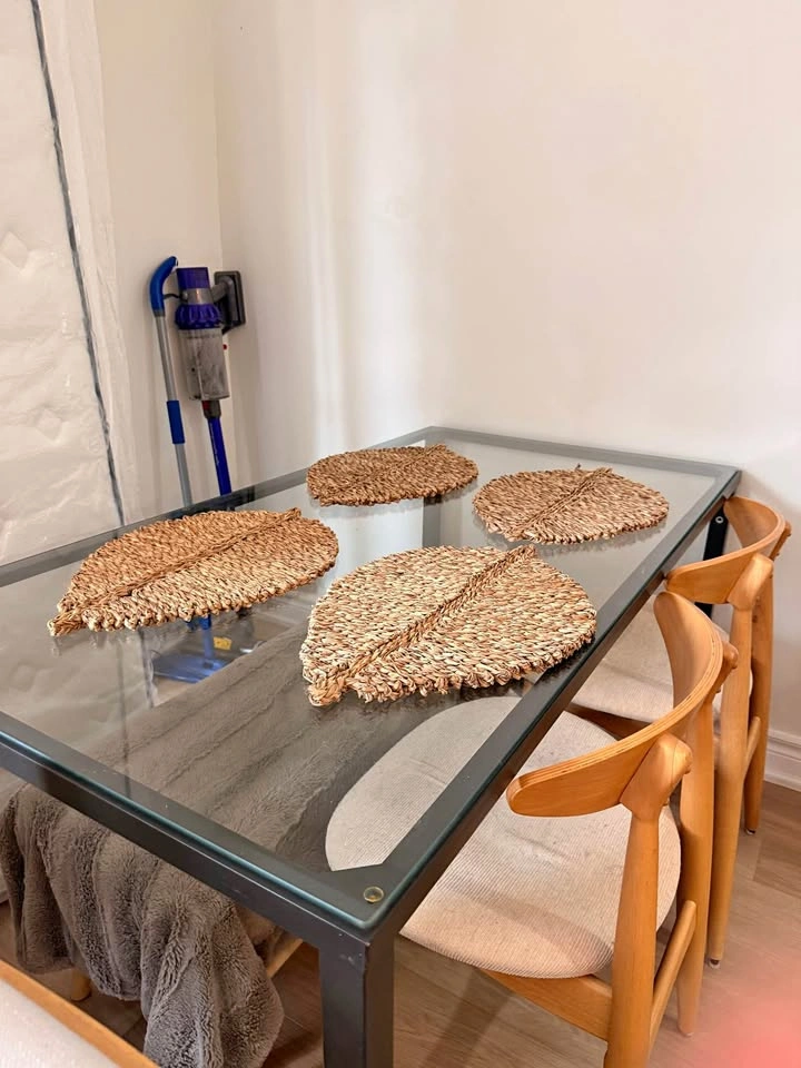 Woven placemats - new