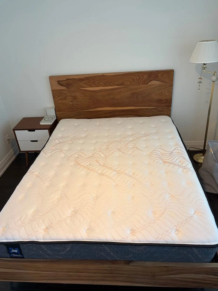 Sealy Posturepedic Plus Queen Mattress - photo 3