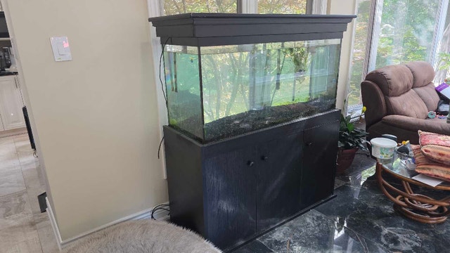 90 gal aquarium - photo 2
