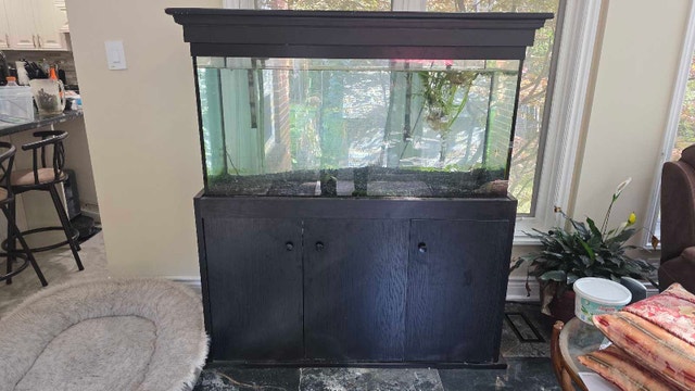 90 gal aquarium - photo 3