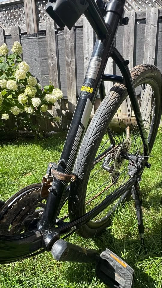 2021 Giant Cypress DX Bike - Hybrid - Large Frame - photo 4
